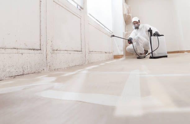 24/7 Emergency Basement Mold Remediation experts in Kingston, PA